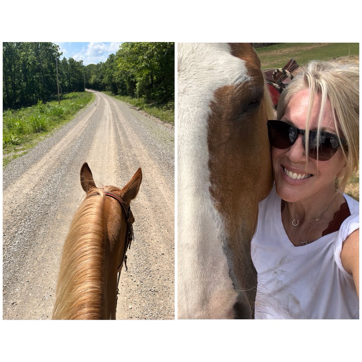 It was hot out here. That’s not a scenic pic, but Jed is leading the way and I wanted to get him in there. It makes me happy when Jed comes with Marshall and me because it reminds me how I found him out on a trail a few years ago. ☀️💕