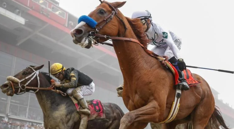 DailyNews79's tweet photo. Preakness Stakes 2024 expectations, picks, time, ponies, chances: Smartest options from master who hit last year's champ

Read More 👉 https://t.co/cwpfeD6usQ

#Caitlin #Caturday #Bundesliga #RobloxDown  #RCBvsCSK #Bayern #Indy500 #BillMaher https://t.co/0x231ILPxo