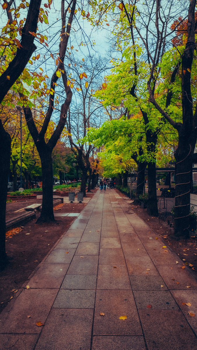 Juanchi Ugalde tweet media