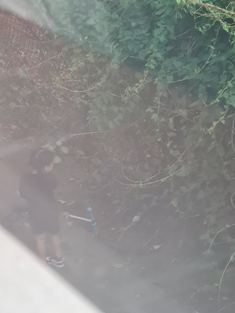 Roblox_islife22's tweet image. The boy is dead I can't shoot the girl I'm just joking they are alive