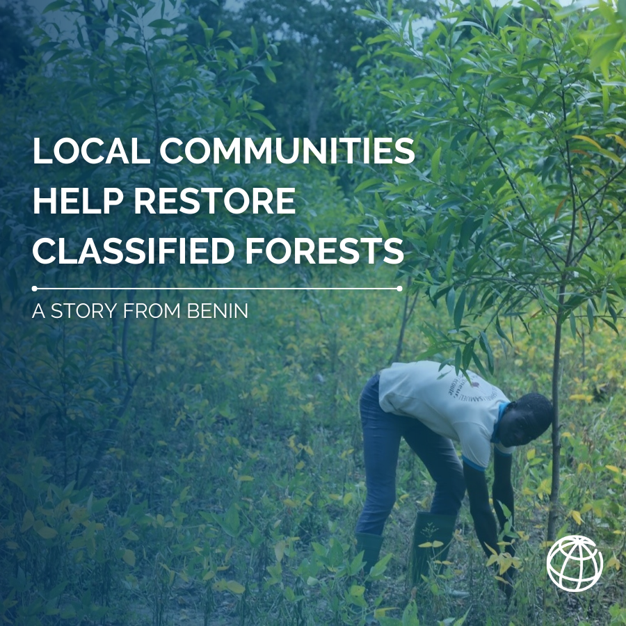 Reforestation? Preservation of landscapes? 🌳🌄

We can’t do it without local communities! 

Learn how a participatory approach #ForNature is working in #Benin 🇧🇯.

ℹ️ wrld.bg/jPHE50RLse5 | #AfricaACTs