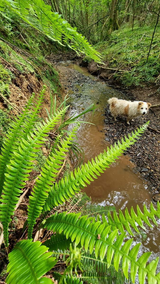 Saterday splish splash fun for Tilly 💖🐾