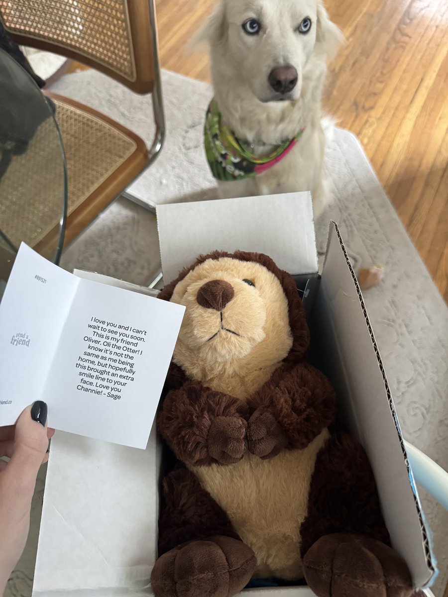 Sage sent me an otter stuffed animal brb gonna go cry