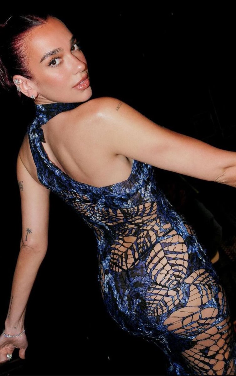 dua lipa in a sexy dress and thong