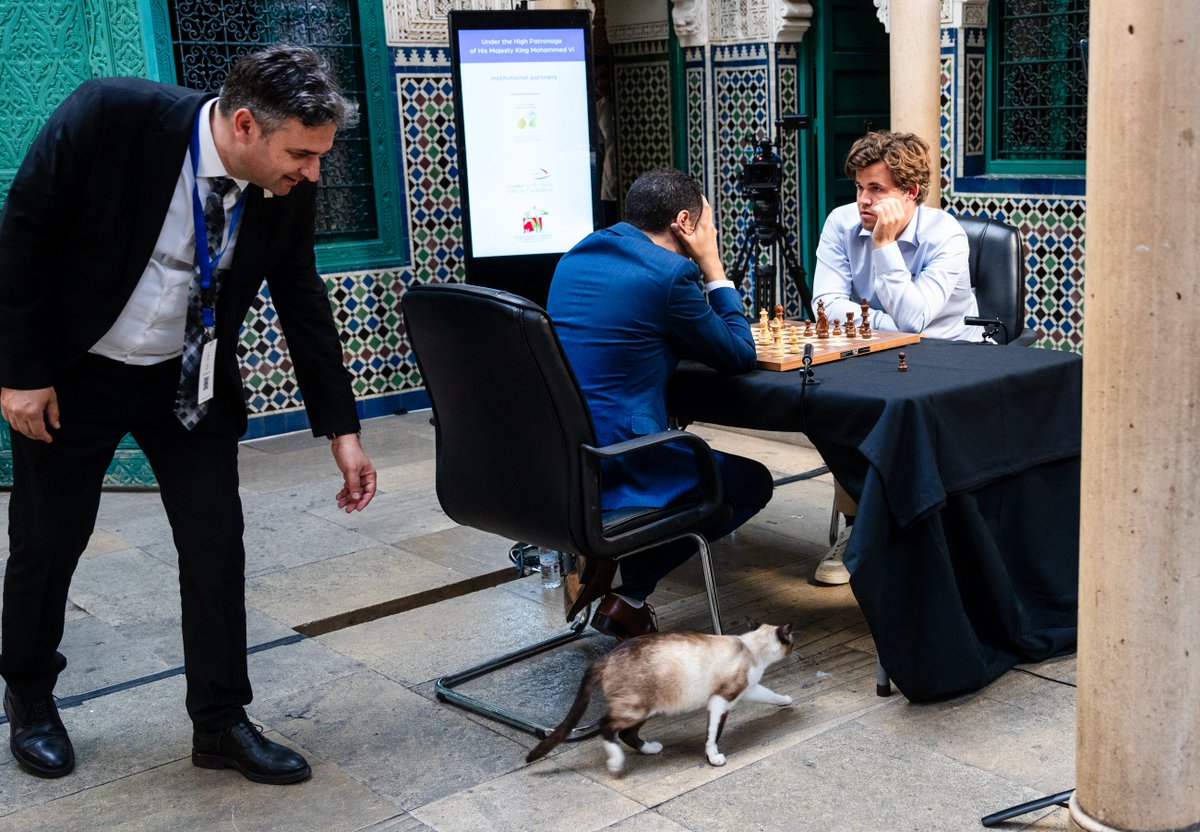 CASABLANCA, CAPABLANCA, CATABLANCA 😺 #casablancachess