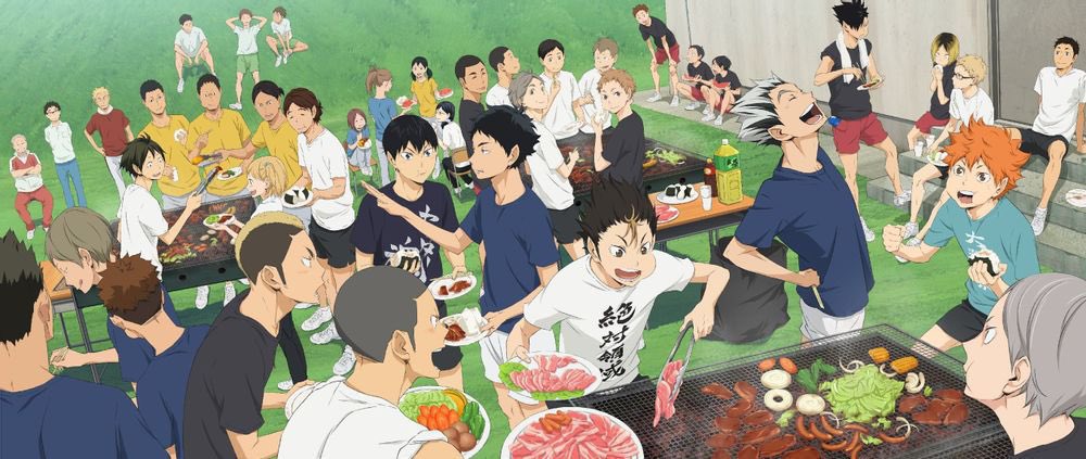 ir a terapia: caro ver el cap 11 de la temporada 2 de haikyuu: gratis