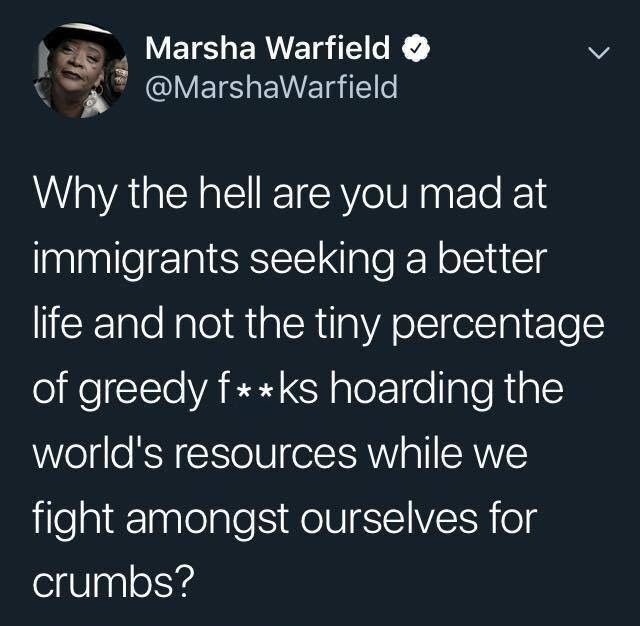 Thought Provoking Berserker ⚛️🦍🦅 tweet media