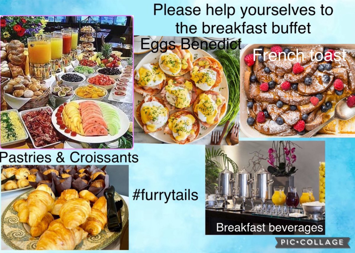 On a lovely sunny morning Edgar zooms into #furrytails still lighting the snug fire for those who like to be snug. Next he makes & adds to the buffet Eggs Benedict & French toast. “Wakey wakey everyone, brekkies ready.