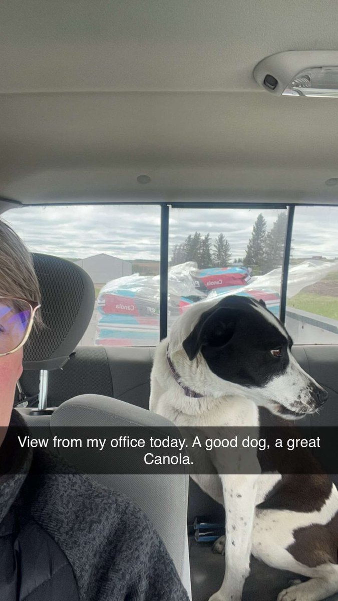 Happy to be onto Canola #plant24 <a href="/ProvenSeed/">Proven Seed</a> <a href="/NutrienAgCda/">Nutrien Ag Solutions Canada</a> <a href="/NutrienAg_NAB/">Nutrien Ag Solutions - Northern Alberta</a>