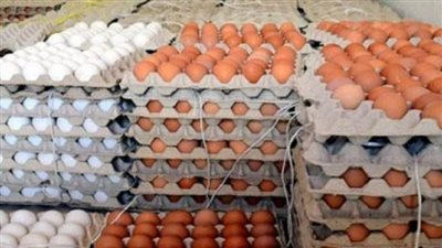 عاجل.. ضبط 450 كرتونة بيض فاسد عرضها البائعين بسعر مخفض #بوابة_أخبار_اليوم 