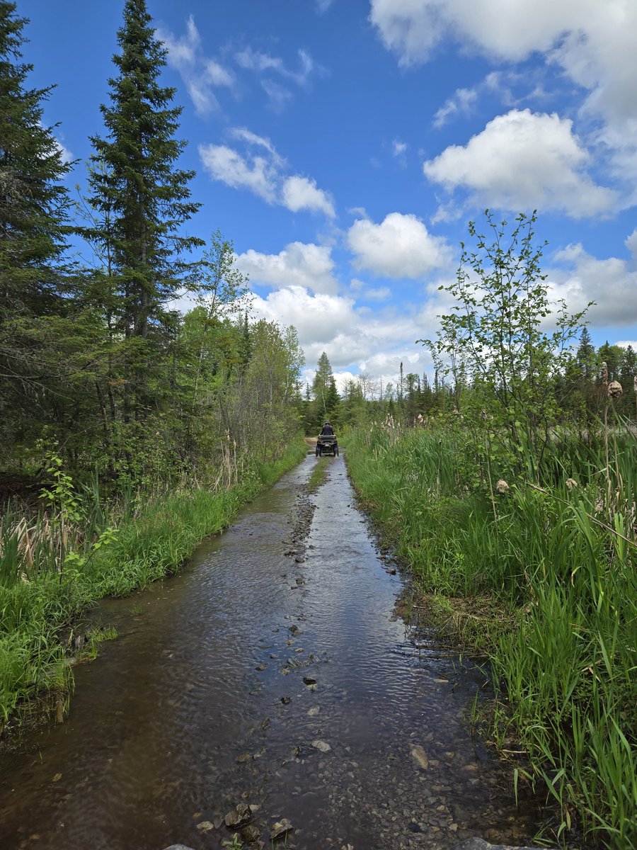 netter48's tweet image. Long weekend vibes
#getoutdoors #polarisoffroad