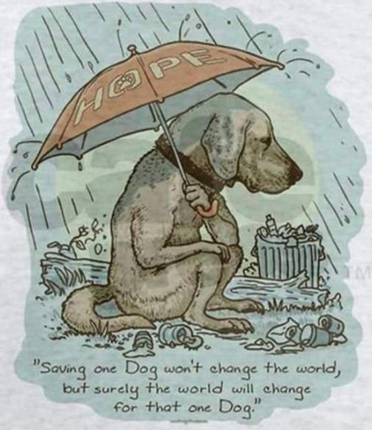 It's a bad weather across the country please pray for all the animals that have no homes to be in and are outside.