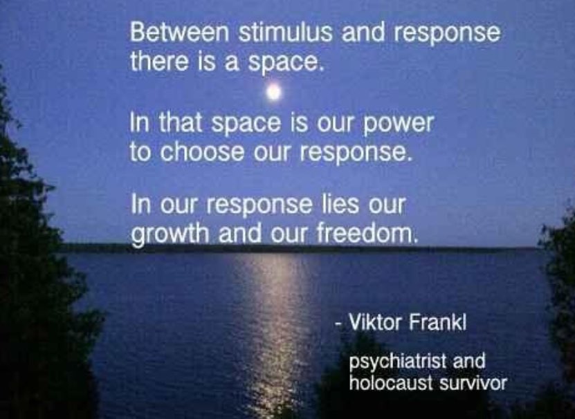 One of my favorite quotes ✨✨✨