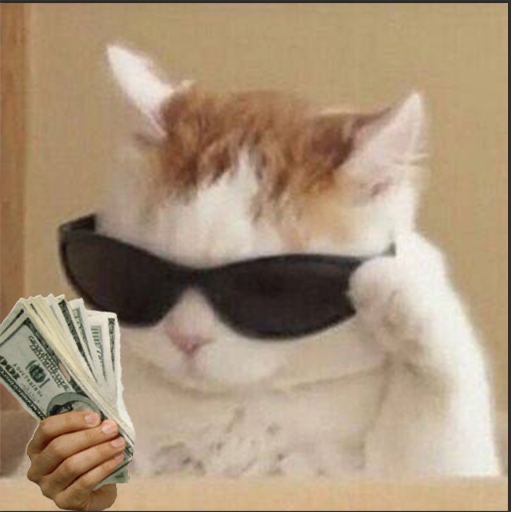 CataracksSol's tweet photo. @henokcrypto If you are see this ask yourself are you trying to stack $racks !??

78b5bwHGyfK3yrDT2Crf2sEEzxAHs13q9dUwrF8uWihw https://t.co/IHT49loqhE