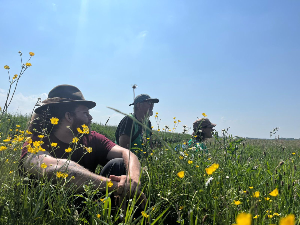 WeidevogelsGld's tweet image. Vandaag in het veld bijscholing gehad ter voorbereiding van het BTS tellen van de grutto (en andere #weidevogels). Vanaf maandag kan de tweede telronde (de eerste gezinnentelling) worden gedaan. Alarmeren de vogels? Dan hebben ze kuikens. #observeren #tellen #monitoren