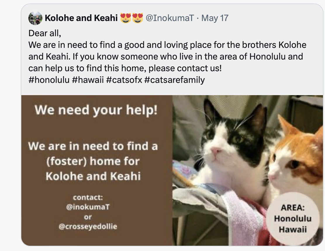 #pawcircle power needed!! Dad is in hospice and  homes are desperately needed for Kolohe and Keahi.
Contact @InokumaT or @crosseyedollie 
#honolulu #hawaii
Pls RT