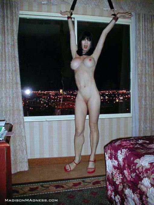 Happy Birthday present https://t.co/LUl6Ab643c<a href="/tag/assspreadingwednesday"class="tags"><span>#assspreadingwednesday</span></a>