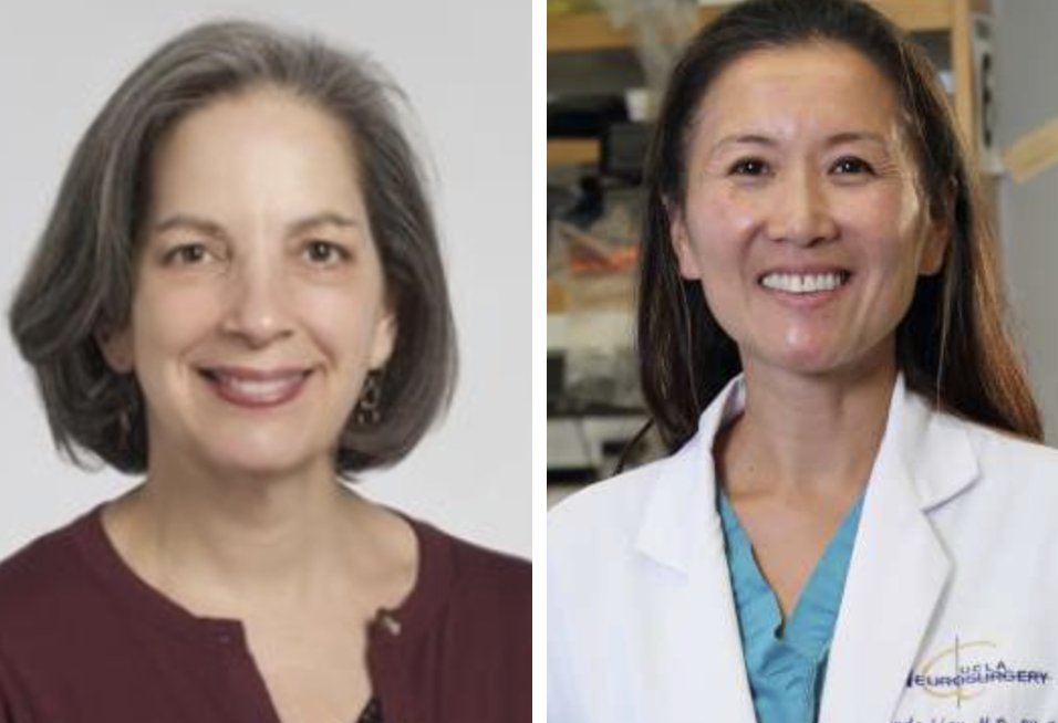 We are delighted to celebrate the trailblazing work of Dr. Deborah Benzil, who was honored with the SNS Distinguished Service Award, and Dr. Linda Liau for her receipt of the prestigious Winn Prize! @WINSneurosurge1 @AANSNeuro @CNS_Update @UCLANsgy @CleClinicNS