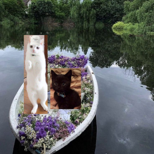 SamCryptoX's tweet image. 3 DAYS WILL MAKE YOU A MILLIONARE WITH $WITHIE