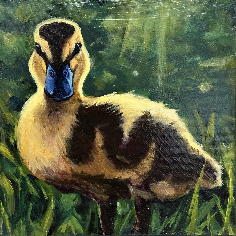 #DUCKS! They have been a topic of conversation throughout the week,so we are embracing it! Here is a little #duckling by Jennifer Sinclair. HOPE YOUR #longweekend is just #ducky! #acrylicpainting #affordableart #halifaxns #birds #localart #supportlocal