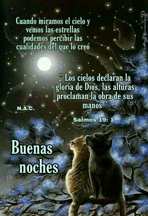 M. Jesús Sáez de Alb tweet media