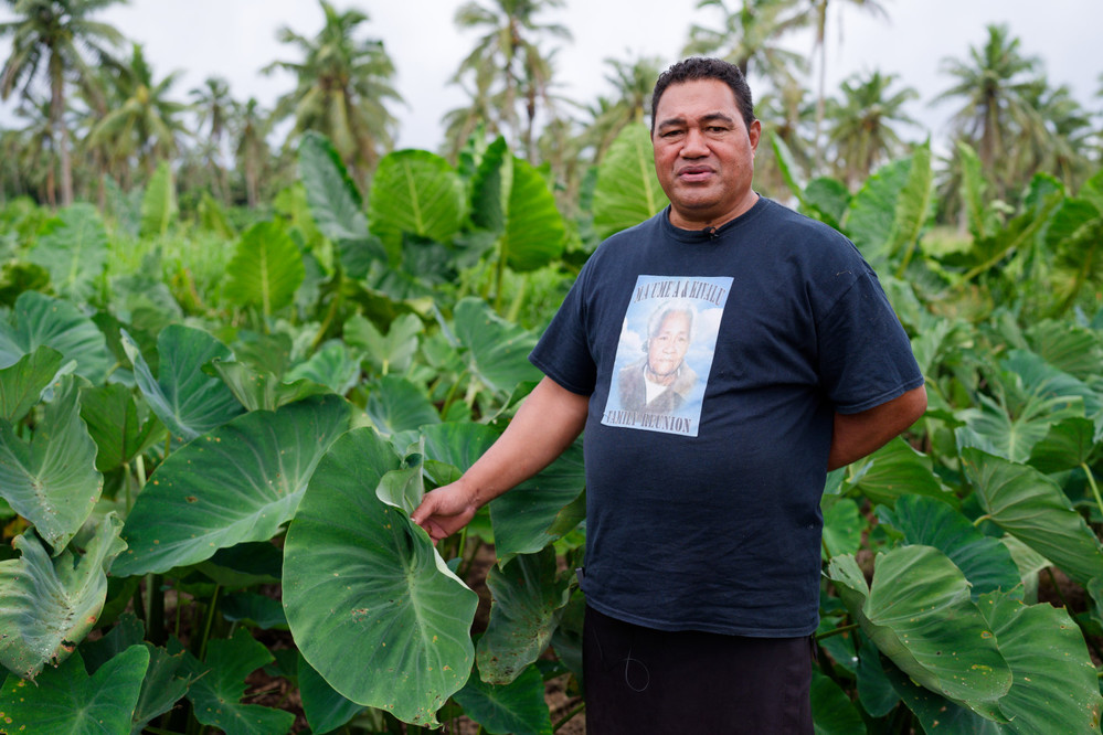 Sione, a district officer, oversees 14 villages implementing a community-driven development plan supported by IFAD in #Tonga. 🌱🥬 The project helped the farmers prepare their plots for planting and has built fencing to protect crops from livestock.