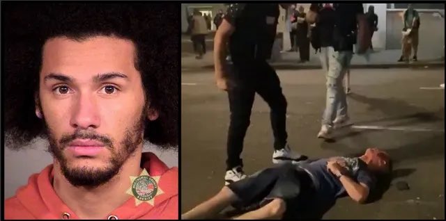 Marquise Love got 20 months in jail for almost killing Adam Haner during a black lives matters riot. While our ruling class Pelosis attacker gets 30 years…..