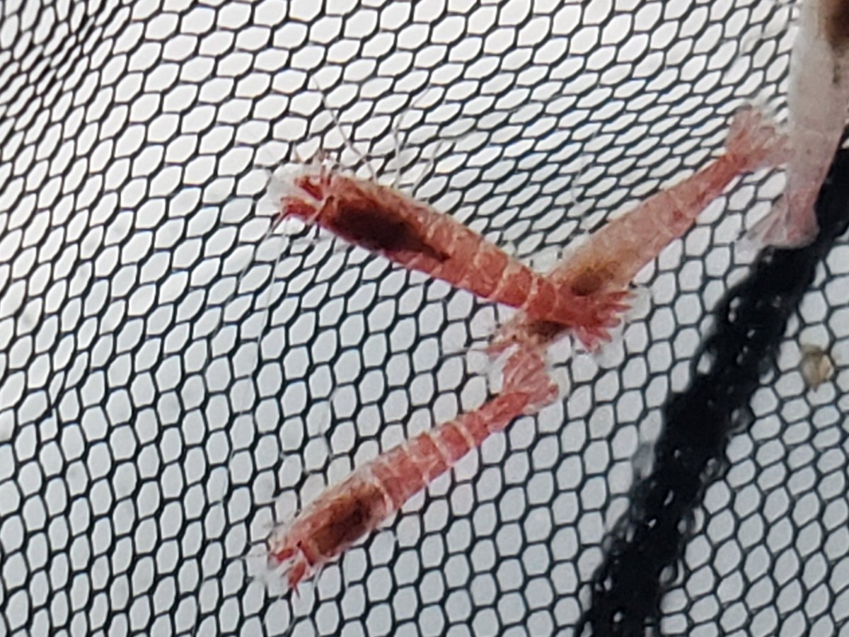 Havird Lab tweet media