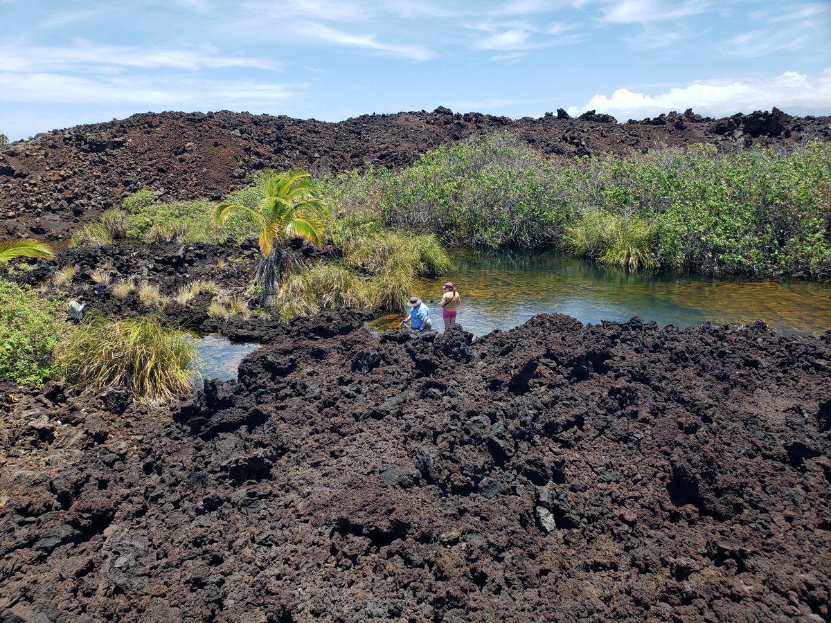 Havird Lab tweet media