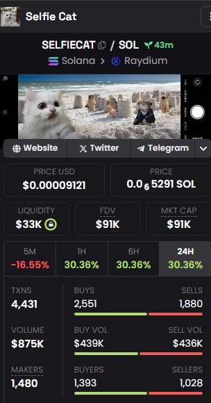 selfiecat_sol_'s tweet photo. 1 million volume soon enough!! 

Let's goo!! 

https://t.co/YfDuuVZUMn

#SELFIECAT https://t.co/kxqpCPkunX