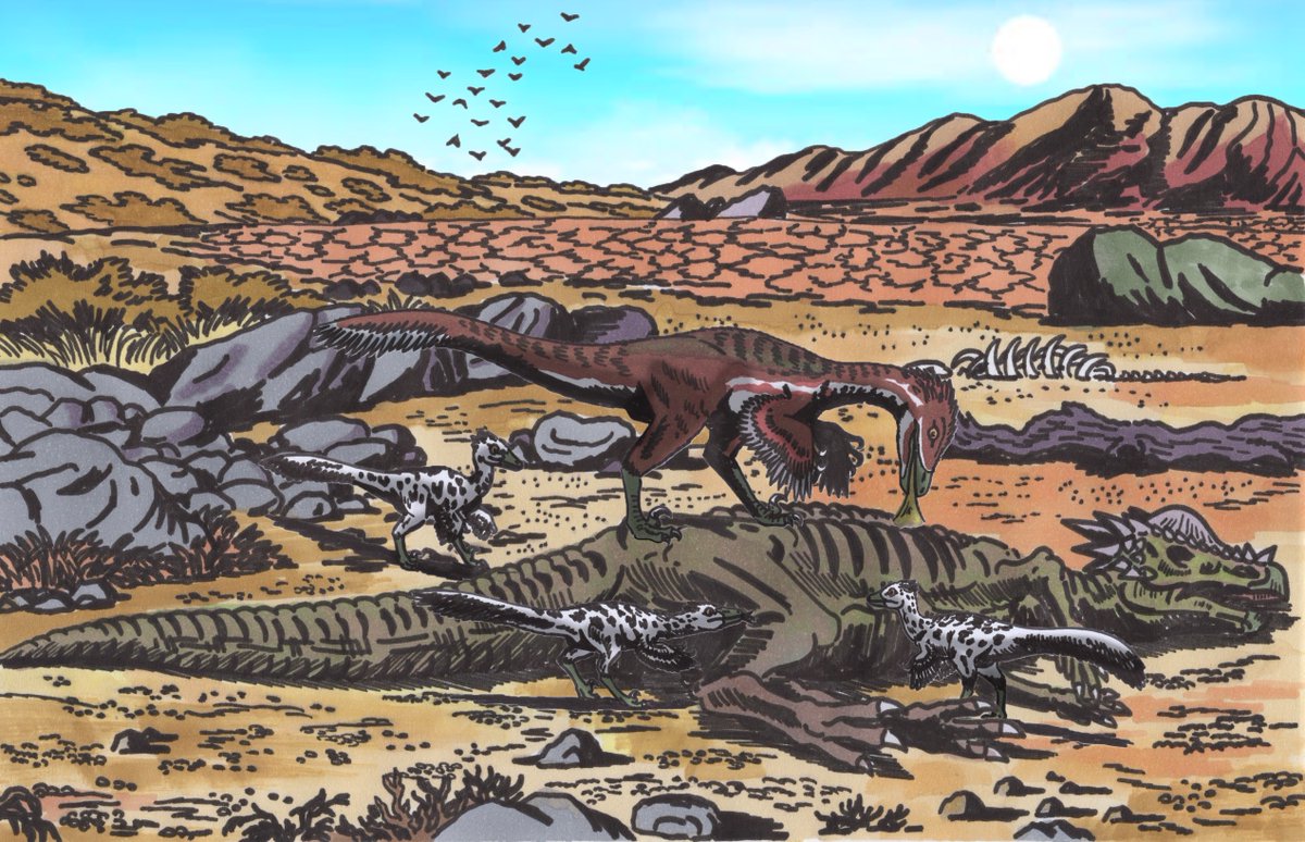 #MaystrichtianMadness 18: Pectinodon

Somewhere near the desiccated remains of the old Western Interior seaway, a family of Pectinodon bakkeri scavenge the dried corpse of a Pachycephalosaurus amid a parched plain.  

#PrehistoricPlanet