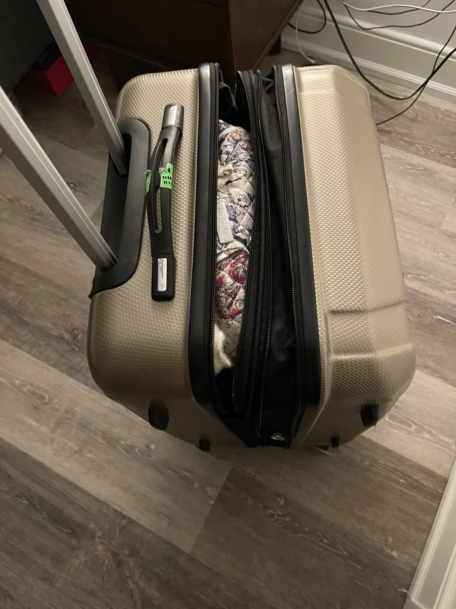 catbardon's tweet photo. @AlaskaAir tried to get to the baggage claim area to report this but SeaTac is under construction. Would love support given my suitcase was left in the corner of the airport, opened, and damaged. https://t.co/g0rkxKsrXi