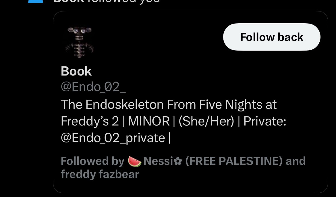 THE ENDOSKELETON FOLLOWED ME???? HELLO!!!