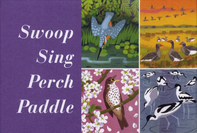 'Swoop Sing Perch Paddle', an exhibition of bird pictures and other works by @carry_akroyd, opens at @LSterneTrust, Shandy Hall, York on the 8th June caughtbytheriver.net/2024/05/swoop-…