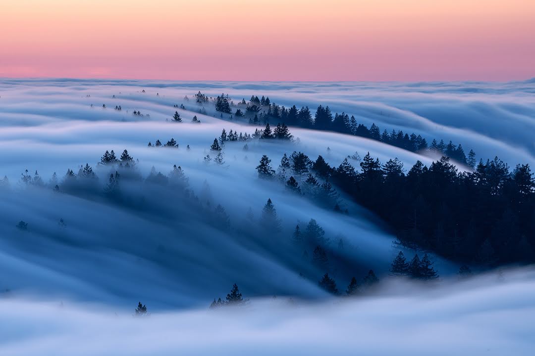 dsafanda's tweet image. Over the Sea and Through the Trees
...
An evening on Mt.Tamalpais
#marin