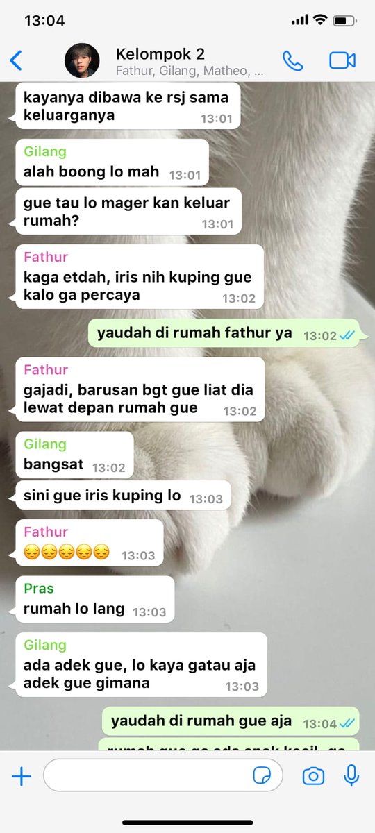 cimol kinda ia tweet media