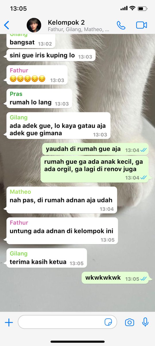 cimol kinda ia tweet media