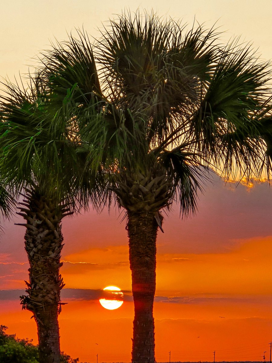 Florida Sunset 🌴❤️☀️Photography 📸