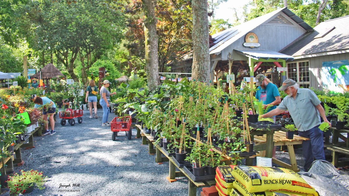 My photos of Gulley's🌳 5️⃣0️⃣TH Anniversary Celebration!🎉

gulleysgardencenter.com

#GulleysGardenCenter🌳 
#GardenCenter 
#PlantsandFlowers 
#PlantShopping 
#50thAnniversary 5️⃣0️⃣🎉
#ShopLocalNC 
#SouthernPinesNC