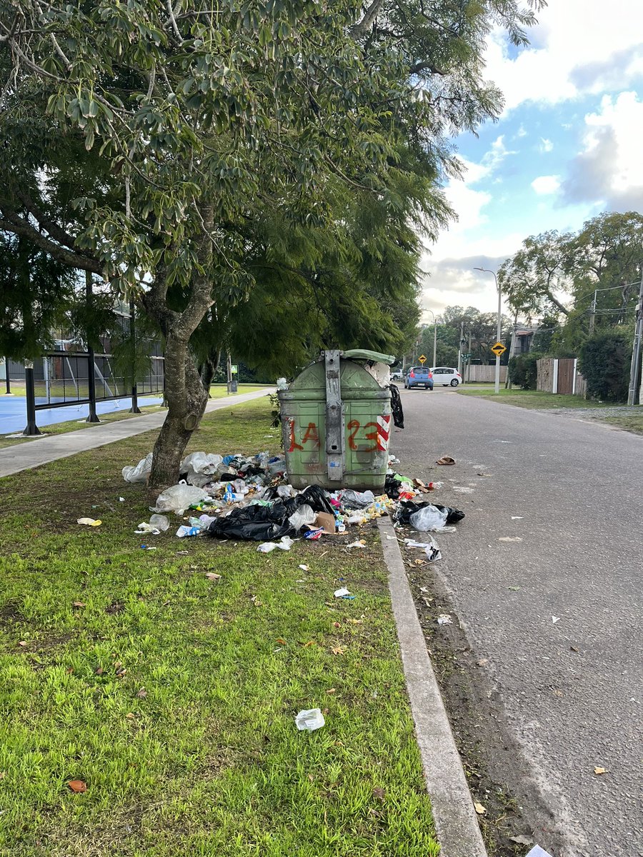 johnmilestouya's tweet photo. Soy montevideano y obvio que prefiero que los postes de los semáforos estén pintados de verde que las calles sin basura https://t.co/QDSFmedaVZ