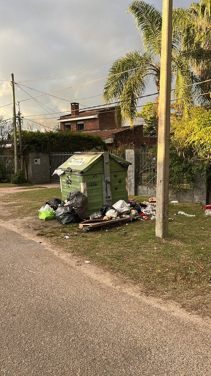 Soy montevideano y obvio que prefiero que los postes de los semáforos estén pintados de verde que las calles sin basura