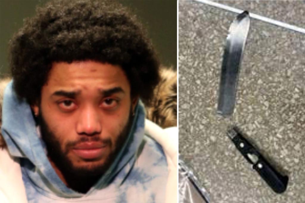 Knife-wielding maniac who allegedly smashed windshield of NYPD patrol car with cops inside before attacking them released by judge trib.al/tcppVHY