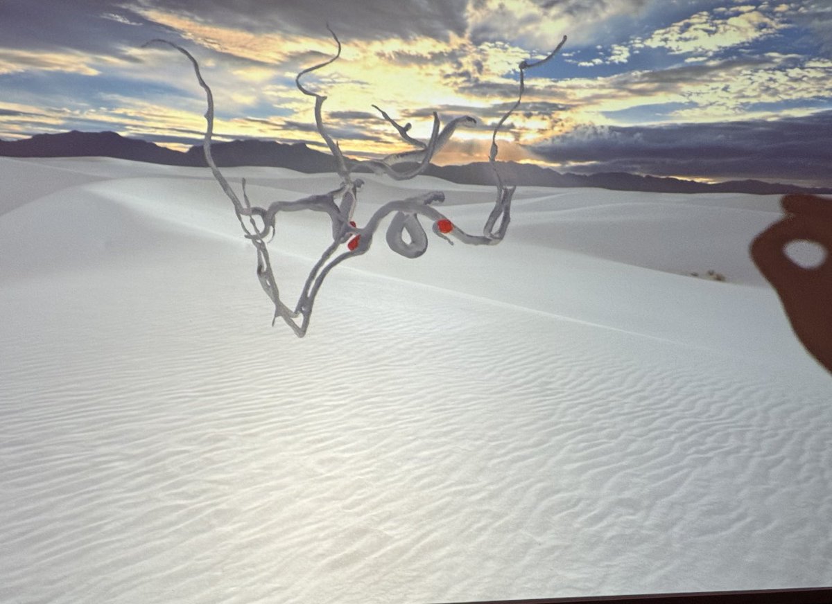 Yoshimi Anzai tweet media