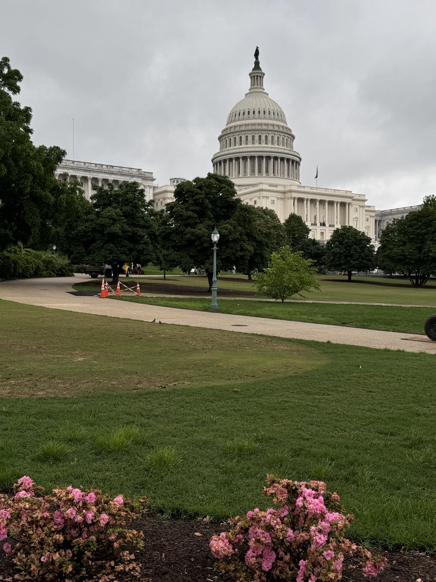 fgomollon's tweet photo. No sólo de pan vive el hombre….#Washington #DDW2014 https://t.co/oZCoF8VEdI