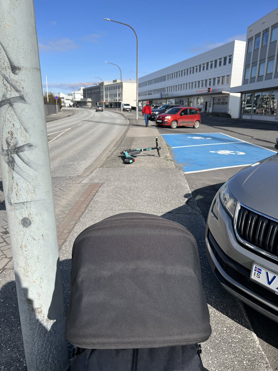 Hjalti Sigmundsson tweet media