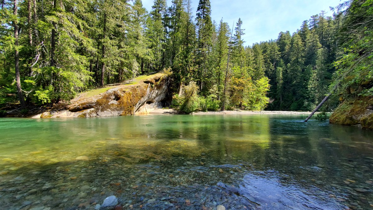 Cowlitz River near the town of Packwood, WA.