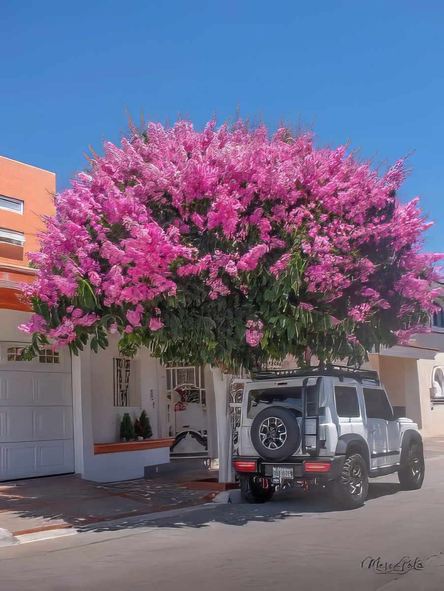 Rosario Sasieta tweet media