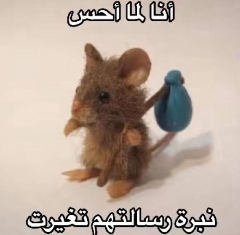 نَ tweet media