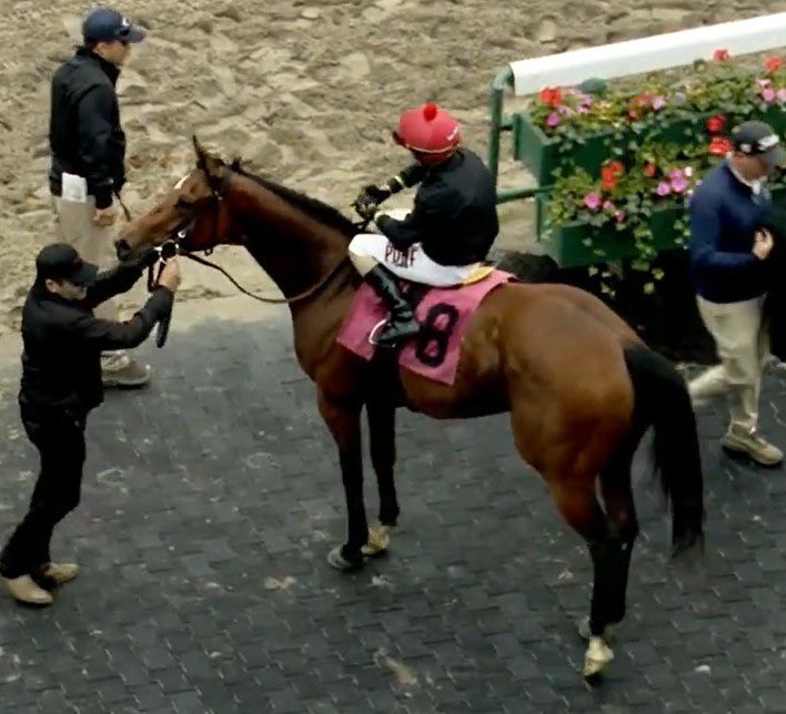 🚨WINNER!!! Ninth-generation #PhippsStable homebred filly Self Confident, by Into Mischief, got up at the wire to break her maiden over the turf at Monmouth. Great job @ClaudeMcGaughey and @SamyCamacho1!
