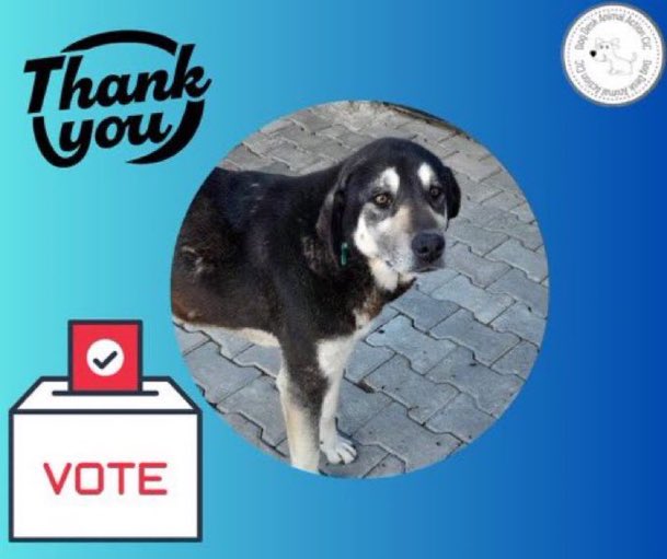 Please can you vote for @DogDeskAction ? It’s a great way to support them and is totally FREE. It’s #double votes weekend too🥳 By voting you will help them secure a much needed grant to help the #dogs in their care 🐶 Click link to vote 🗳️ ⬇️ mygivingcircle.org/dog-desk-anima…